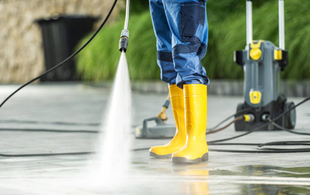 Best Deck Cleaning Services  in Venice, IL